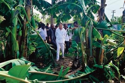 పంట నష్టపోయిన రైతులను ప్రభుత్వం ఆదుకుంటుంది